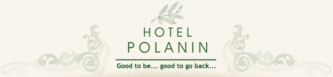 hotel polanin